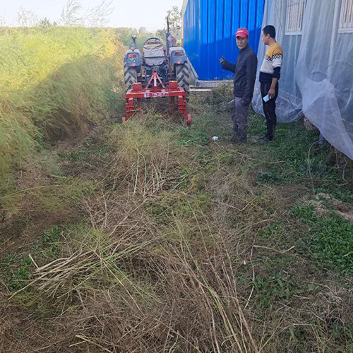 蘆筍割殃機 割蘆筍殃機廠家批發(fā)